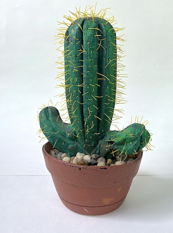 Noises Off Cactus.JPG