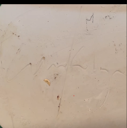 Glick Signature.png