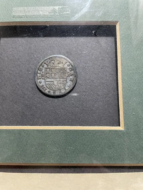 Dutch Cion 4.jpeg