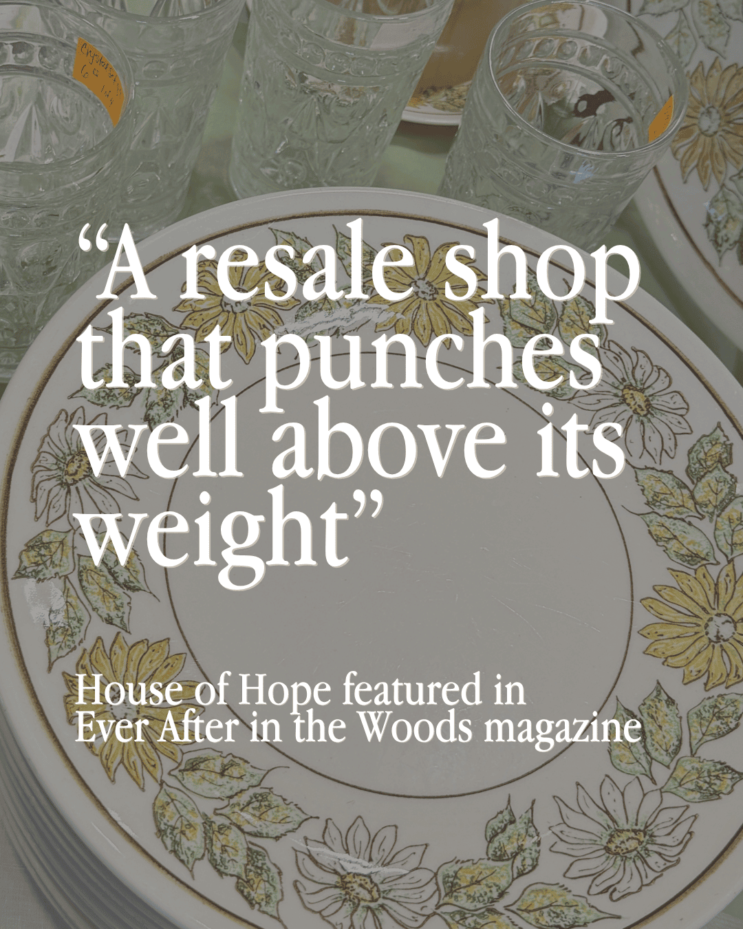 House of Hope Resale Featured Among Illinois' Hidden Thrift Store Gems