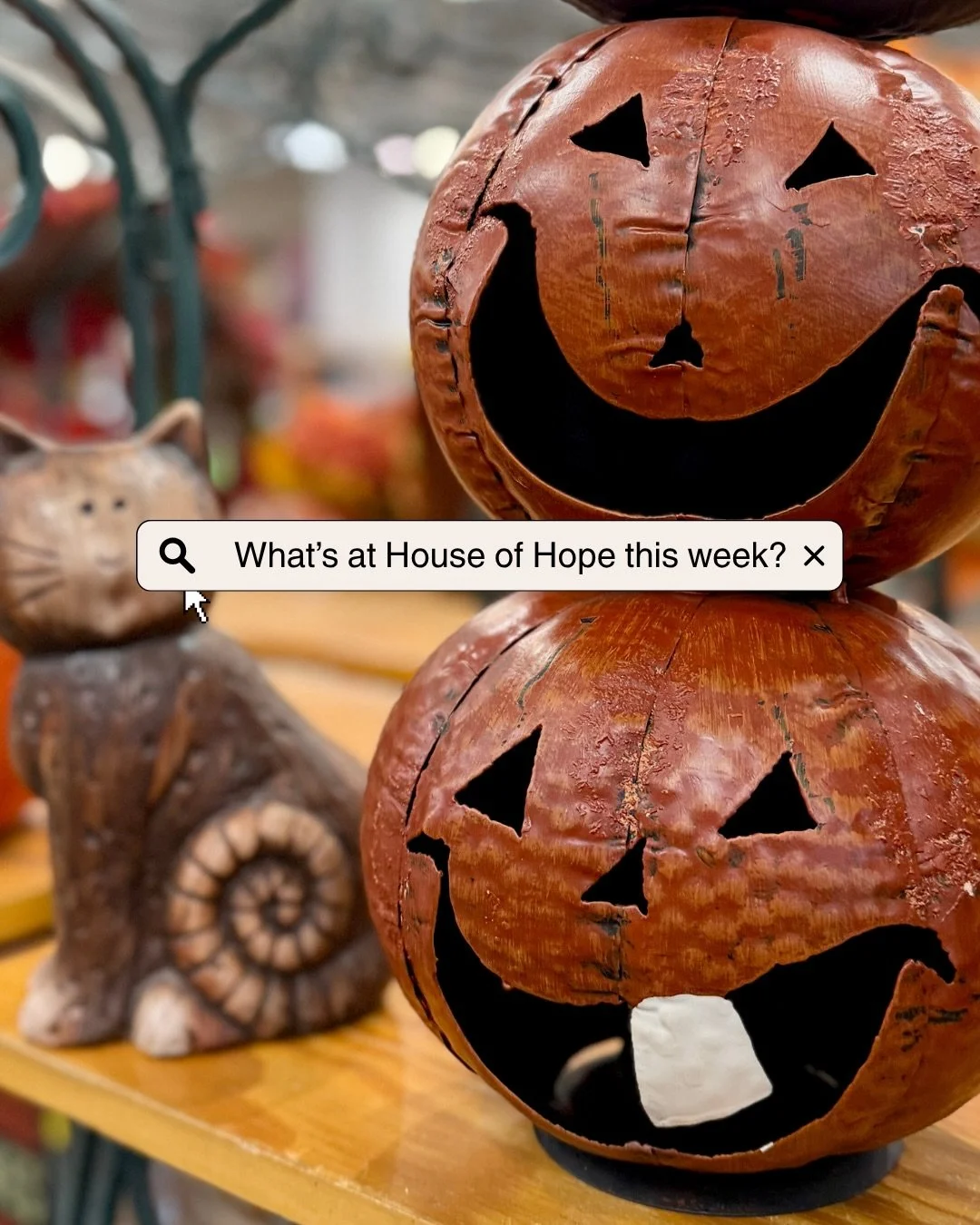 🎃 Sneak peek of what&rsquo;s at House of Hope this week&hellip; we hope you&rsquo;ll be visiting us! 😍🍂

SEND 🔖 this to a friend who&rsquo;s already counting down the days to cooler weather and fall decorating.

HOUSE OF HOPE RESALE 
📍 955 S. Ra
