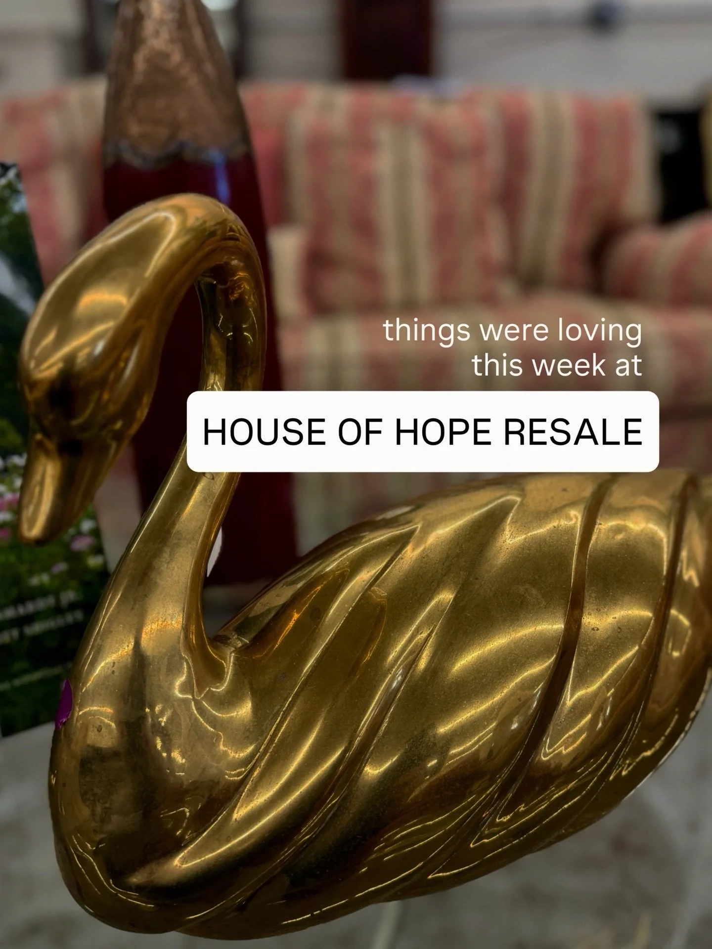 💫We&rsquo;re back with some of our favorite thrift store finds this week at House of Hope Resale!

Like &amp; comment 💬 FAVORITE for our catalog. 

Let us know in the comments ⬇️ what types of items you&rsquo;d like to see more of! Is it&hellip; 

