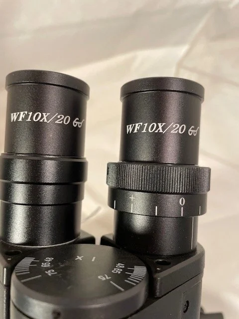 Microscope.jpg