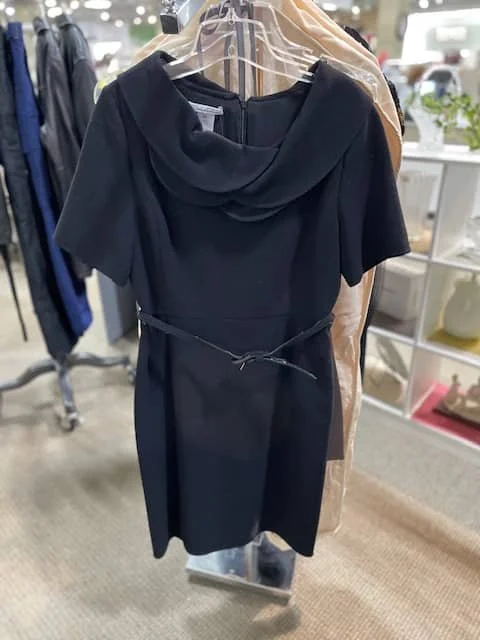 Oscar Dress Hanging 2c.jpg