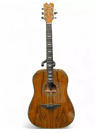 Guitar front c.jpg