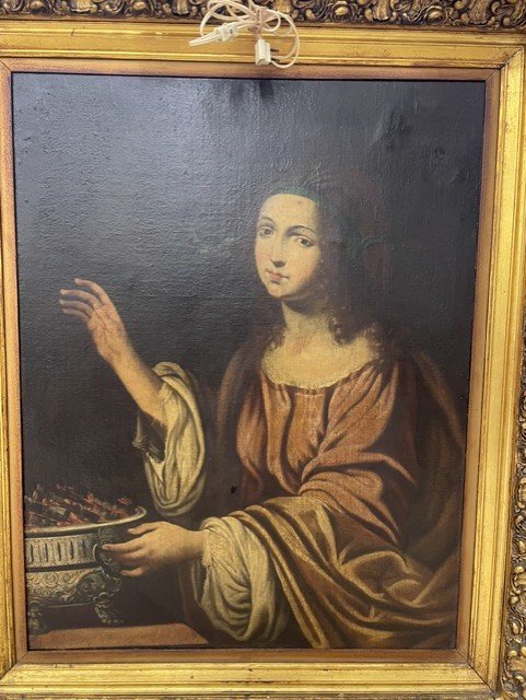Portia 2.jpg