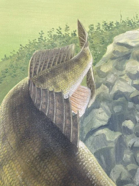 Wiley Miller Tail.jpg
