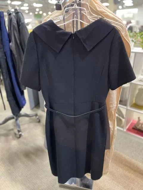 Oscar Dress Hanging 3 c.jpg