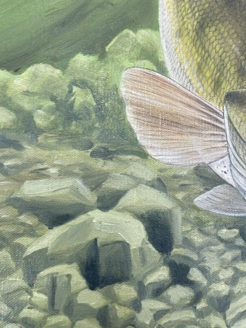 Wiley Miller Close up.jpg
