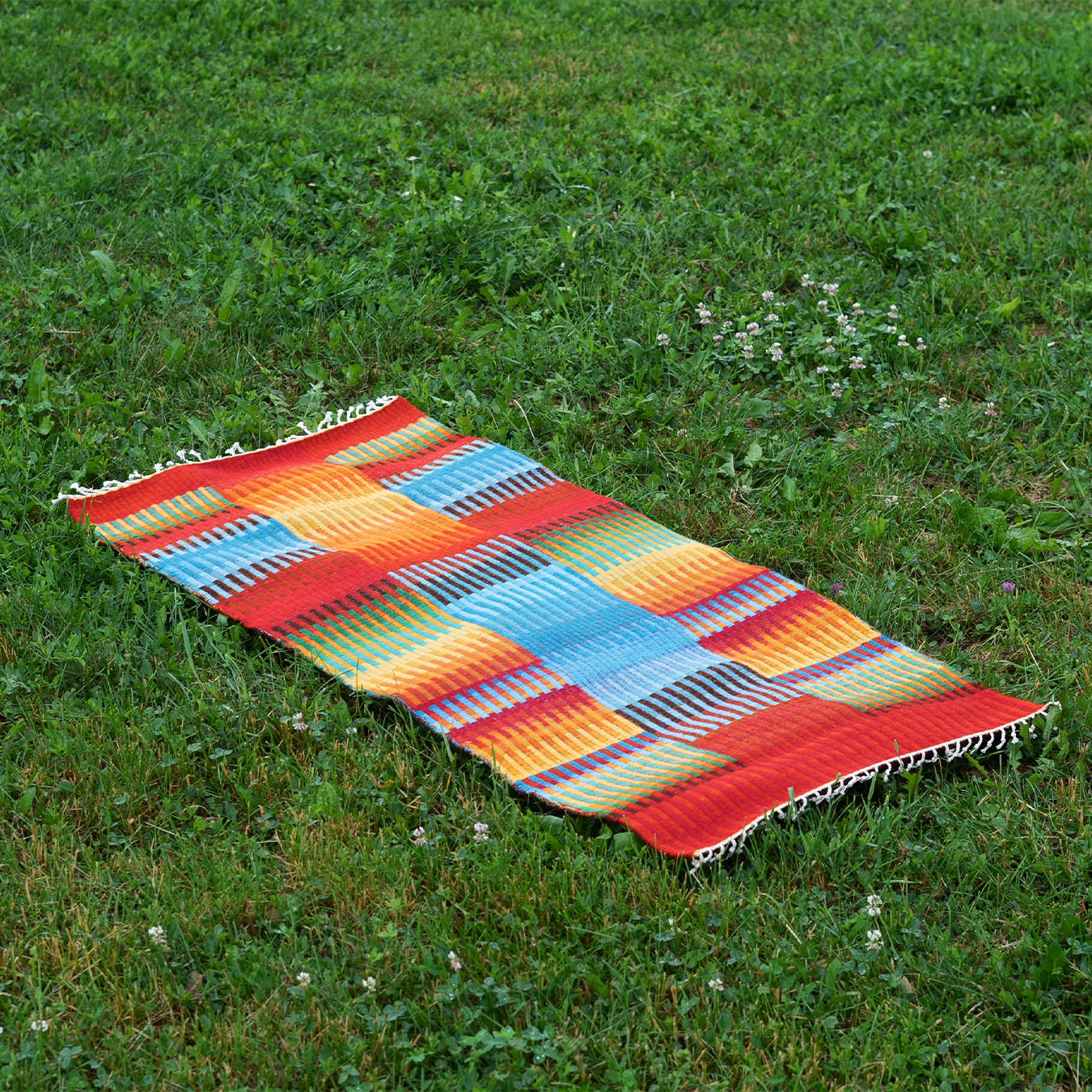 image of a rug laying on the grass