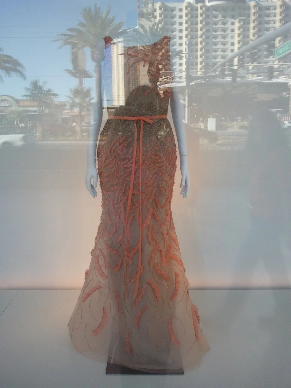 2010-12-11 12.49.09.jpeg