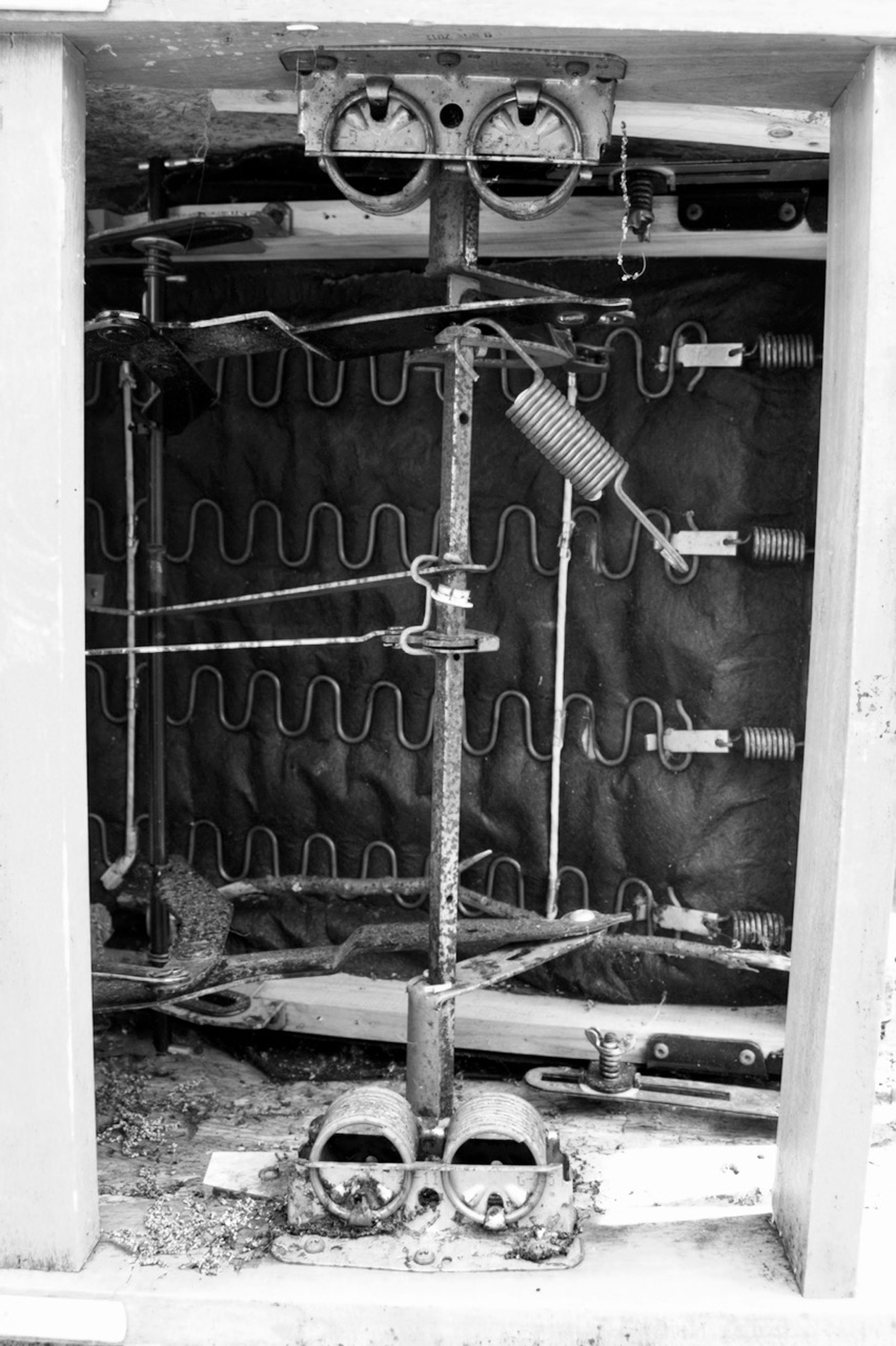 DSC_0081.jpeg