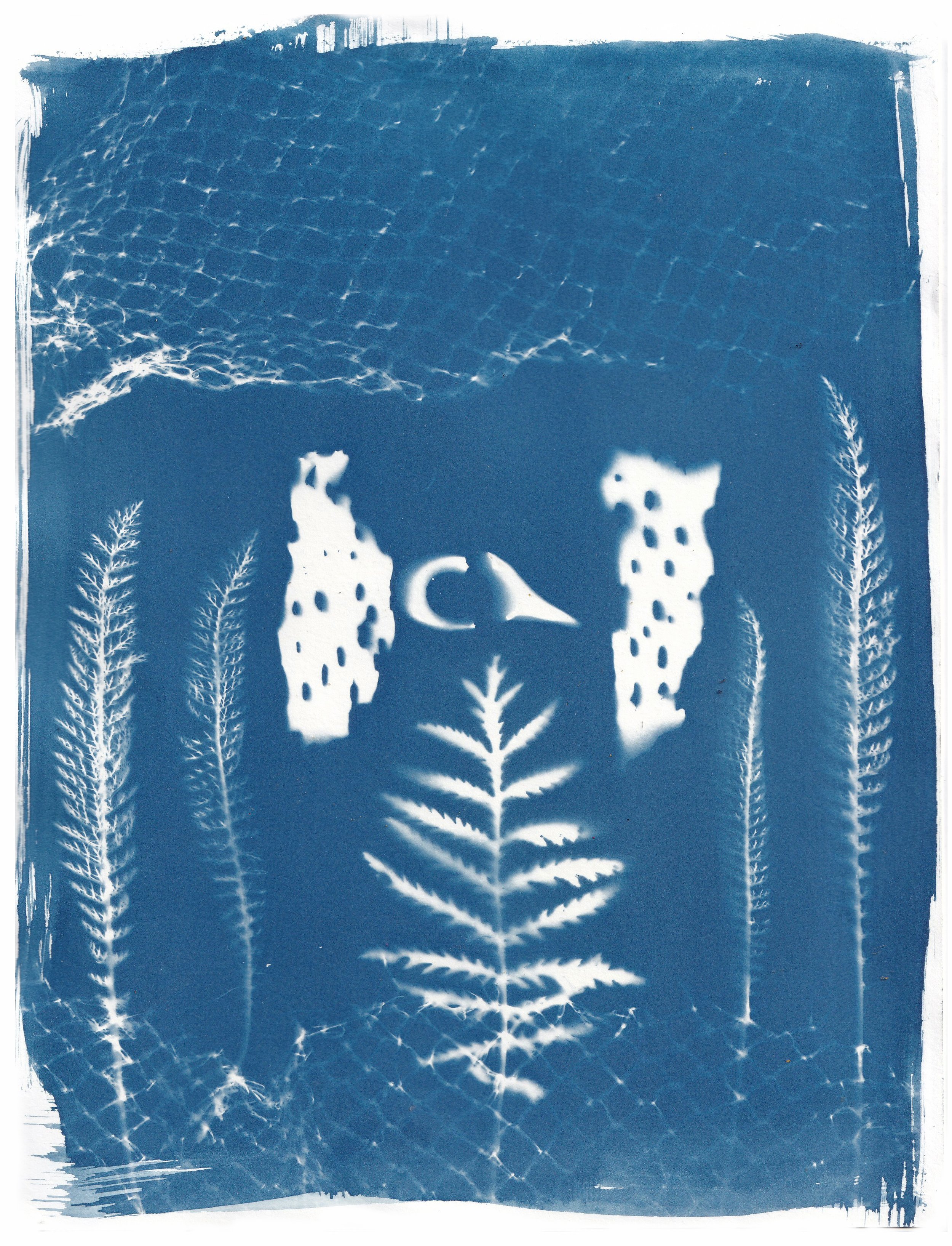 Natural Object Illustration.jpg