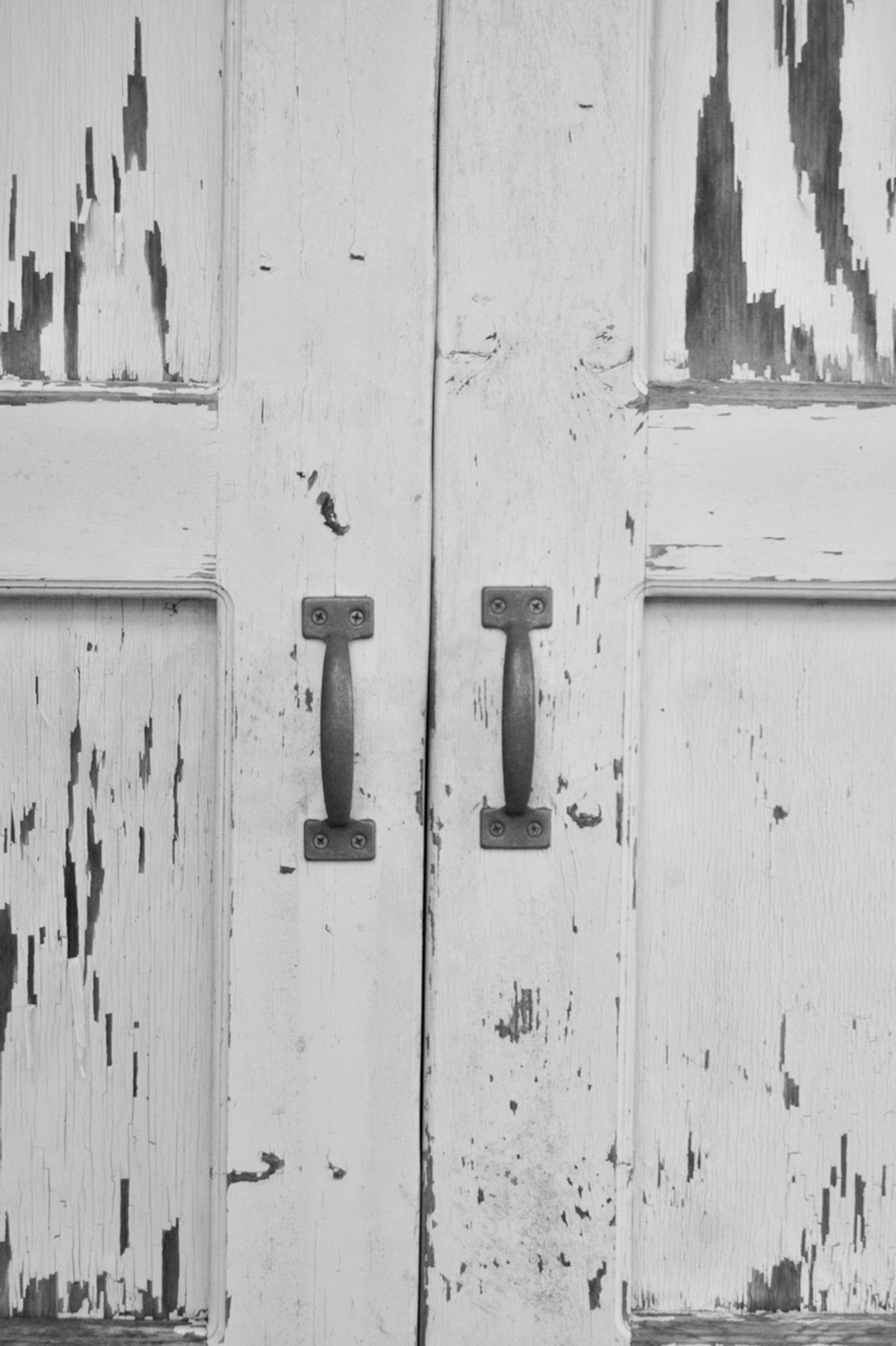 DSC_0151.jpeg