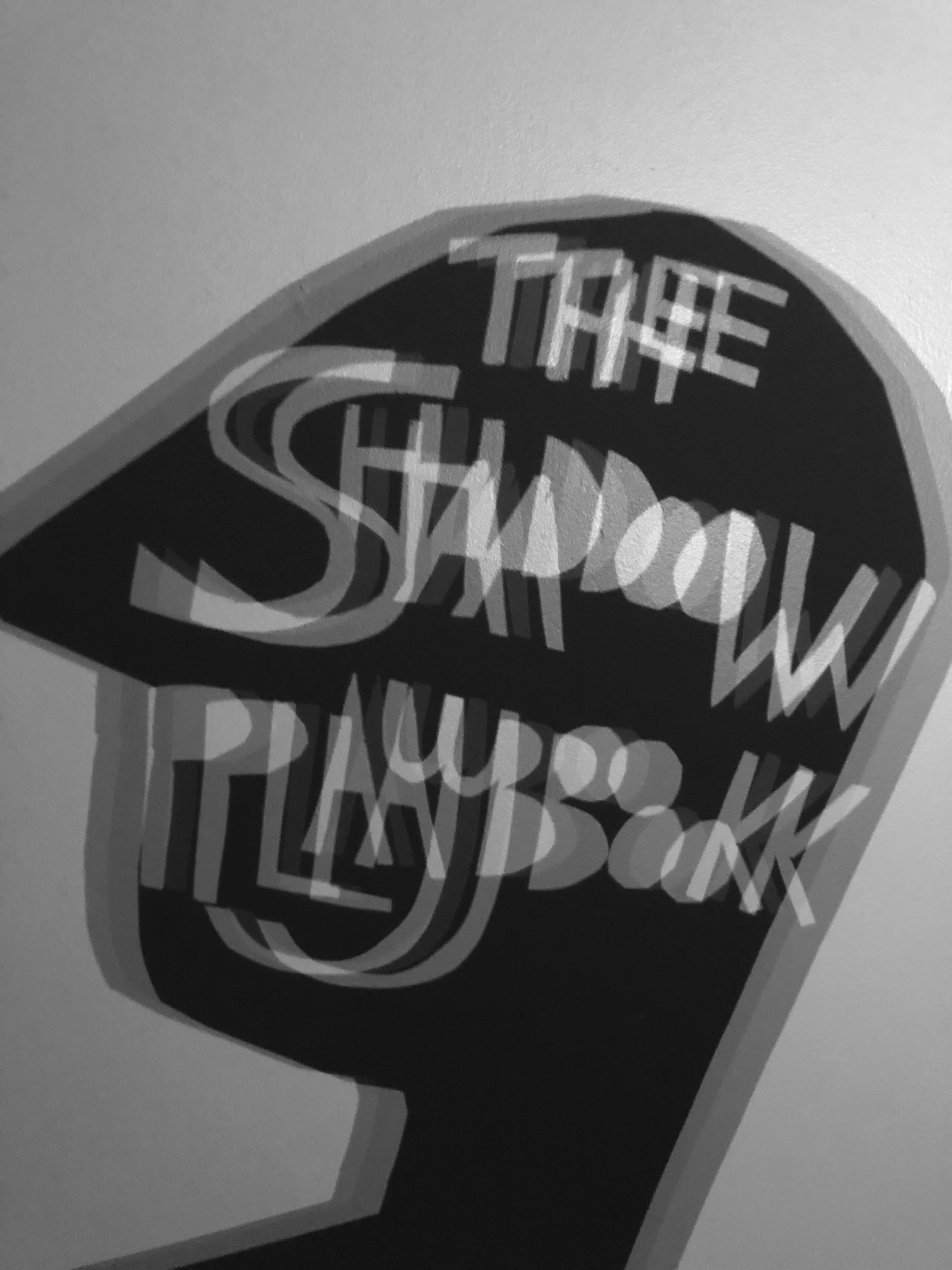 The Shadow Playbook - Back Cover