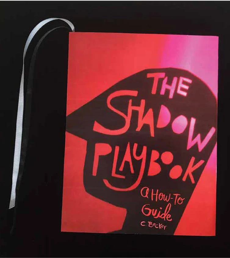 The Shadow Playbook - Cover