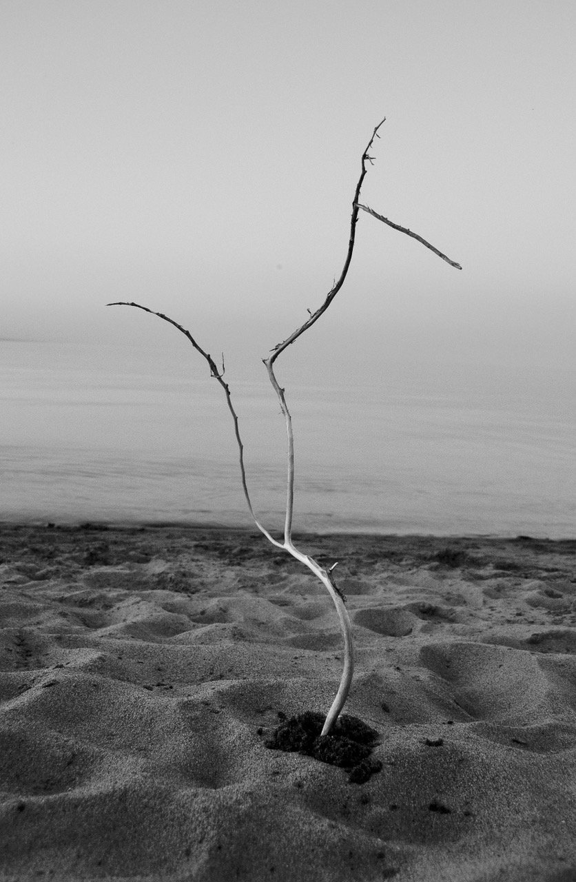 DSC_0061_01.jpeg