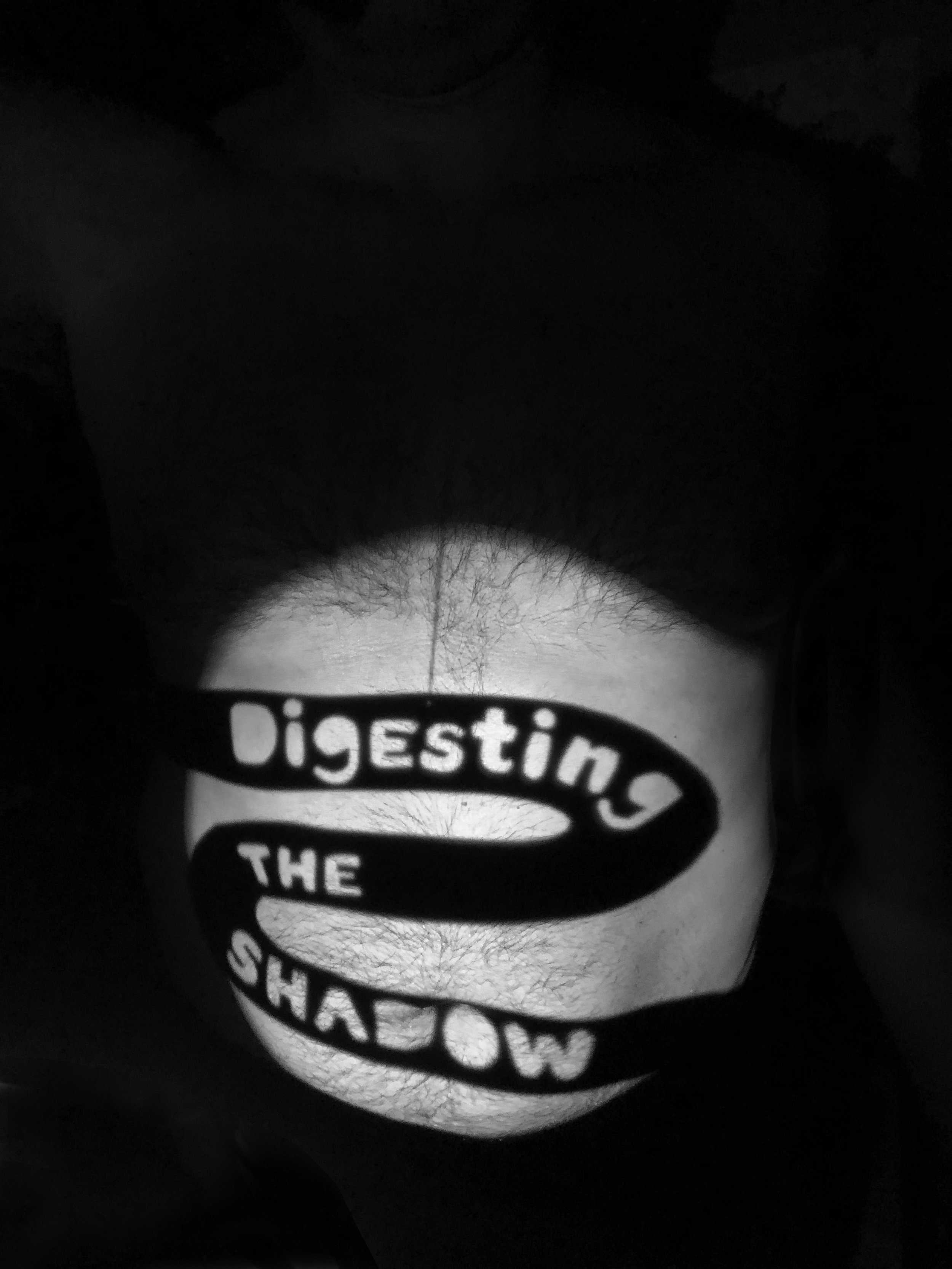 The Shadow Playbook - Digesting