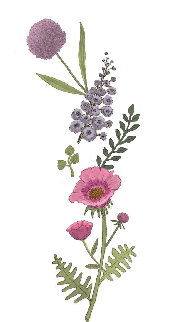 Final_Composition_Clean copy.jpg