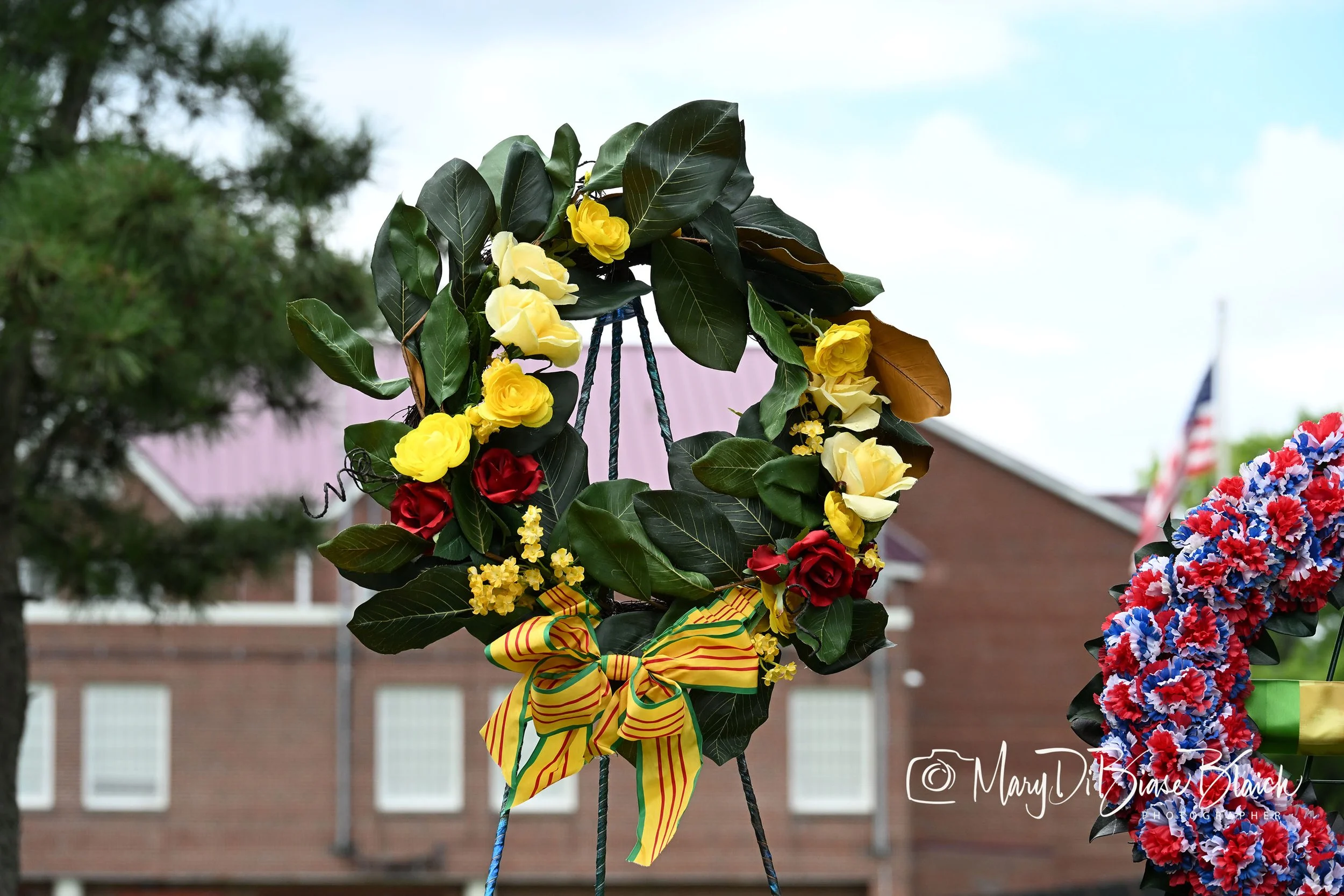 DSC_1011 copy.jpg