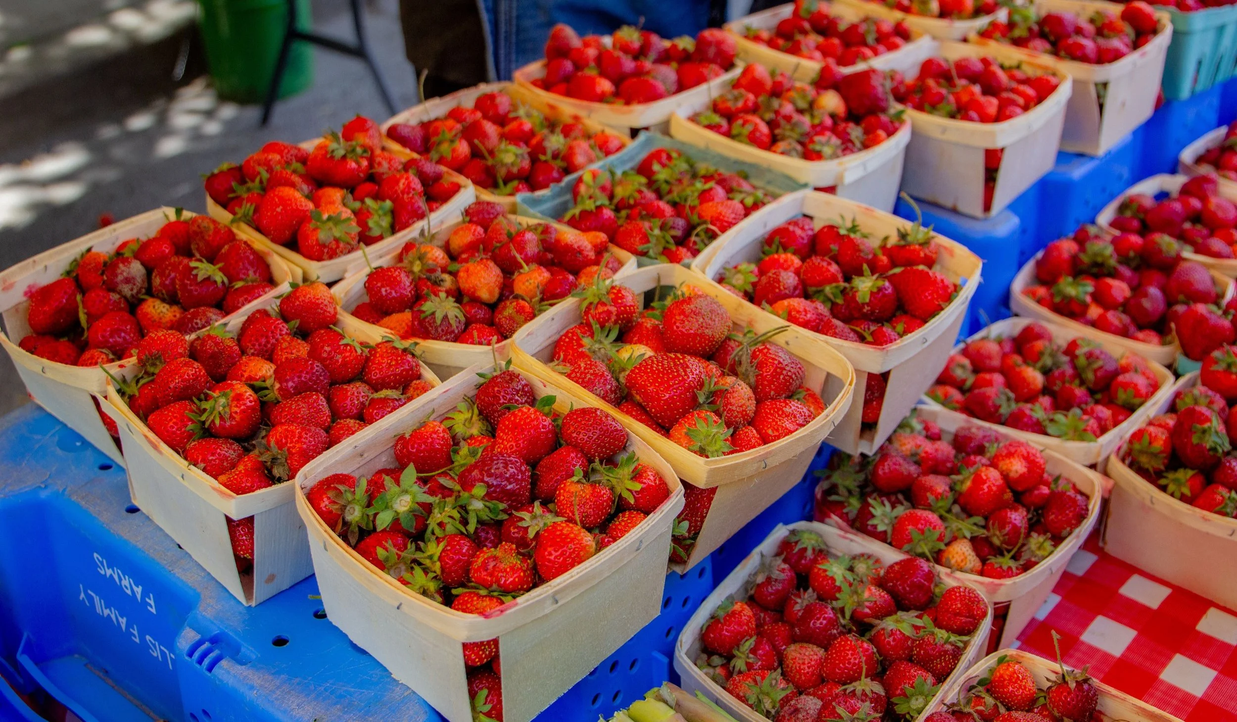 Strawberries are in season!
