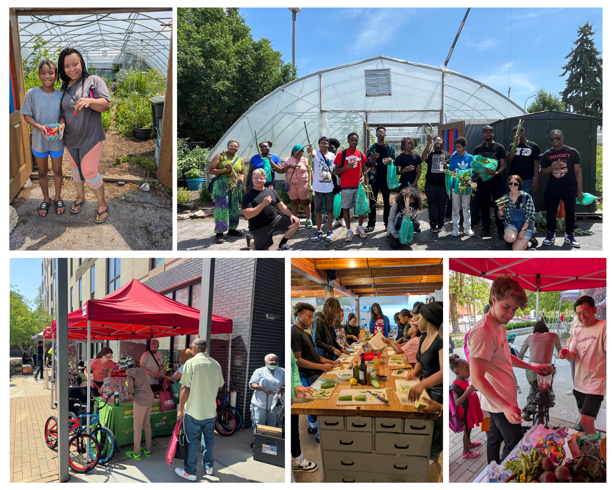 Partner Spotlight: POAH and Carnegie Elementary
