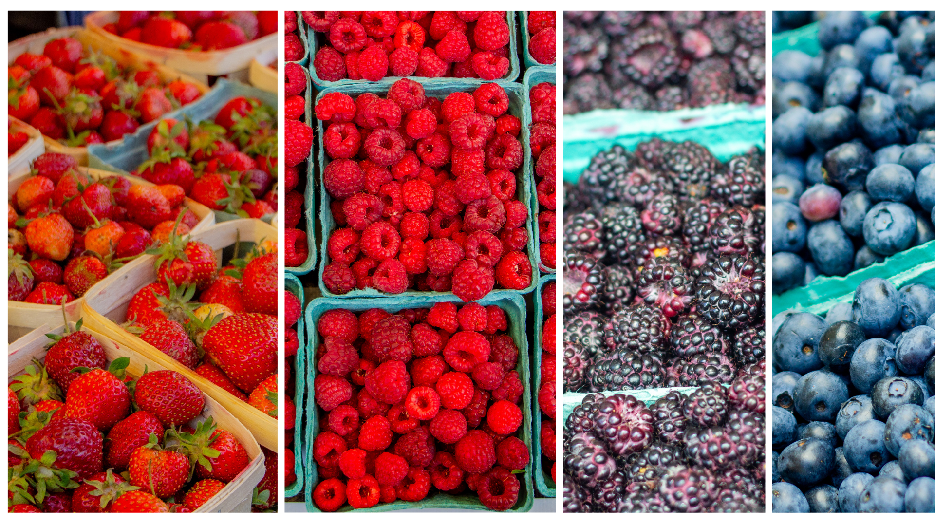 Celebrate Summer’s Abundance with Berries