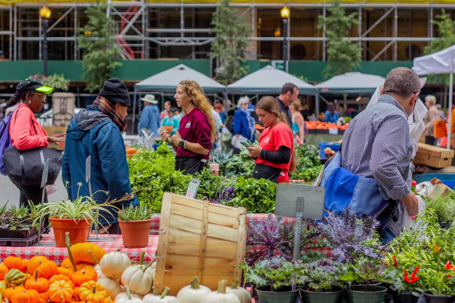 Farmers Markets — Experimental Station