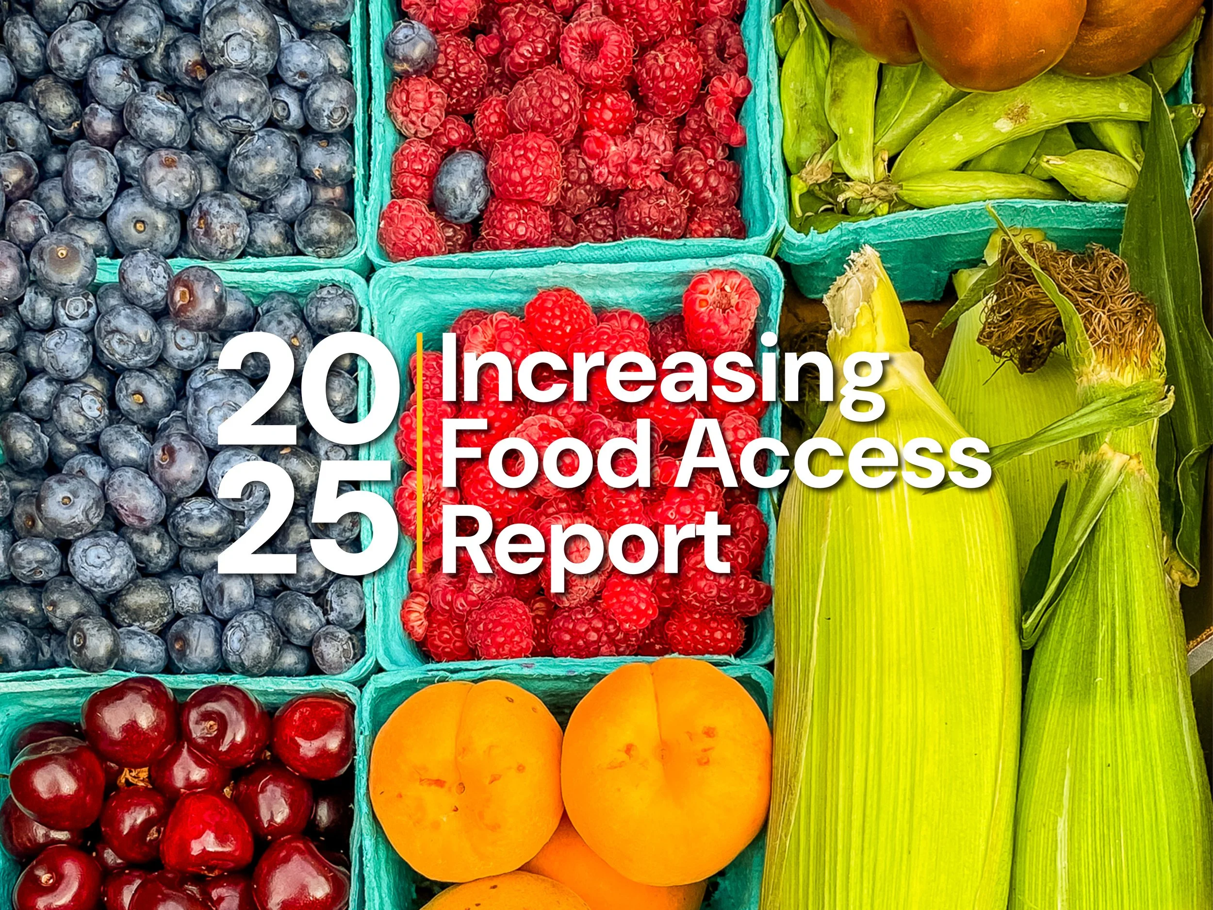 2025 iNCREASING FOOD ACCESS REPORT