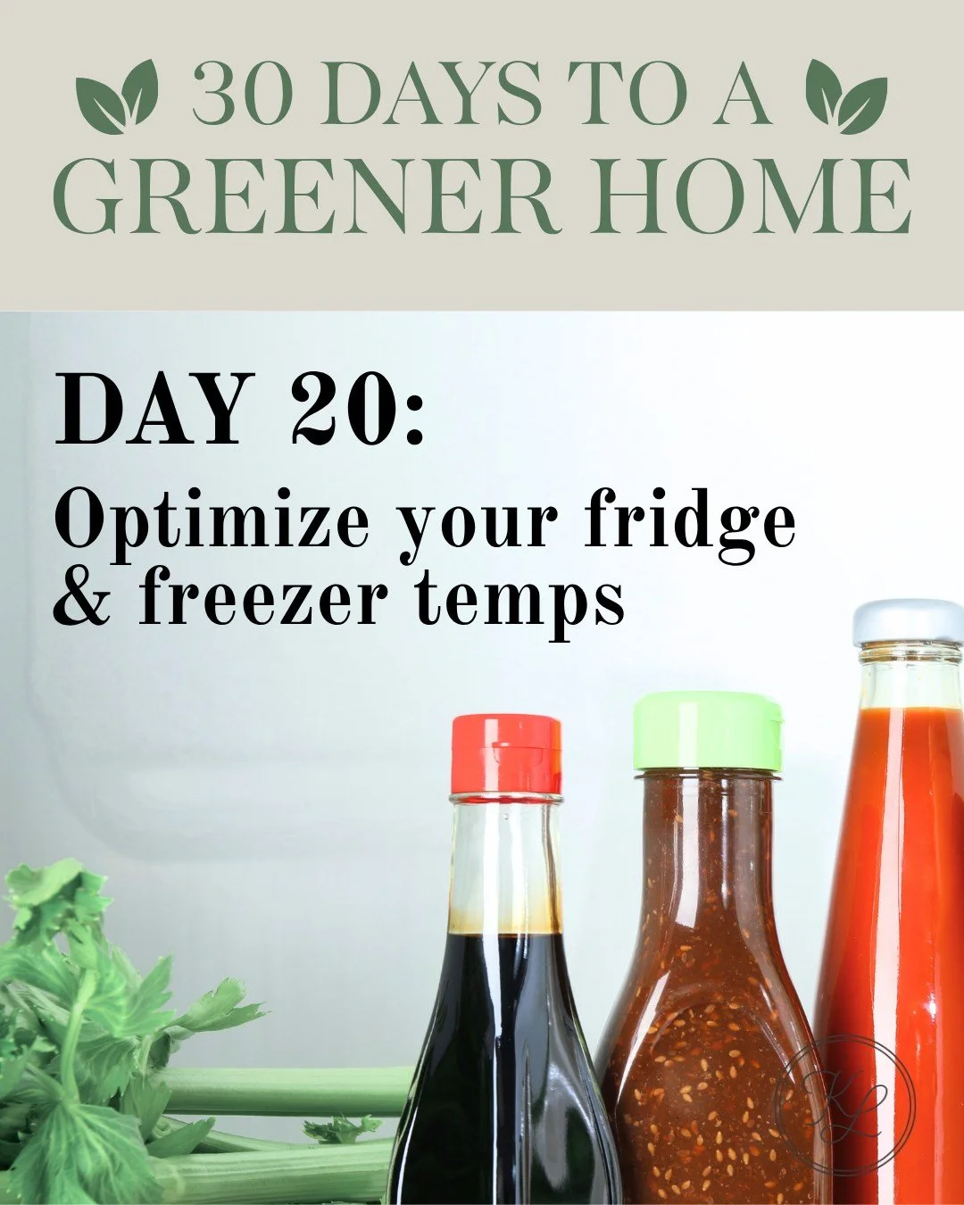 🌿 30 Days to a Greener Home &mdash; Day 20

❄️ Your fridge might be working overtime

Setting the right temperature helps reduce energy use and keep food fresher longer.

A small tweak that makes a difference.