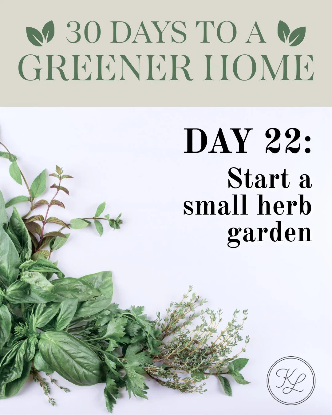 🌿 30 Days to a Greener Home &mdash; Day 22

🌿 Start small&mdash;literally

A simple herb garden adds freshness to your meals and a little life to your space.

Even a windowsill works 🌱