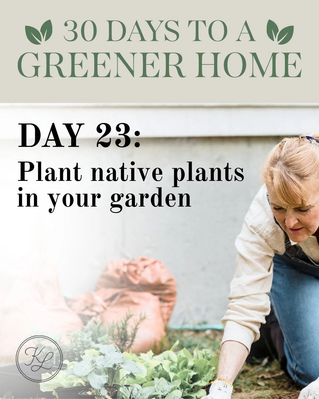 🌿 30 Days to a Greener Home &mdash; Day 23

🌸 Plant smarter, not harder

Native plants require less water and maintenance&mdash;making your yard more sustainable.

Low effort, high reward.