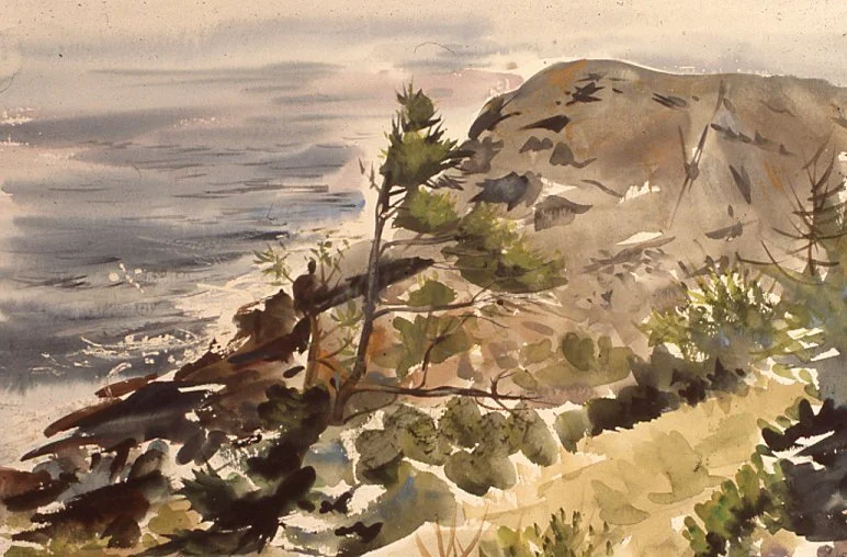 Tough_Spruce_With_Gull_Rock,17.5x23.5,1988.jpg