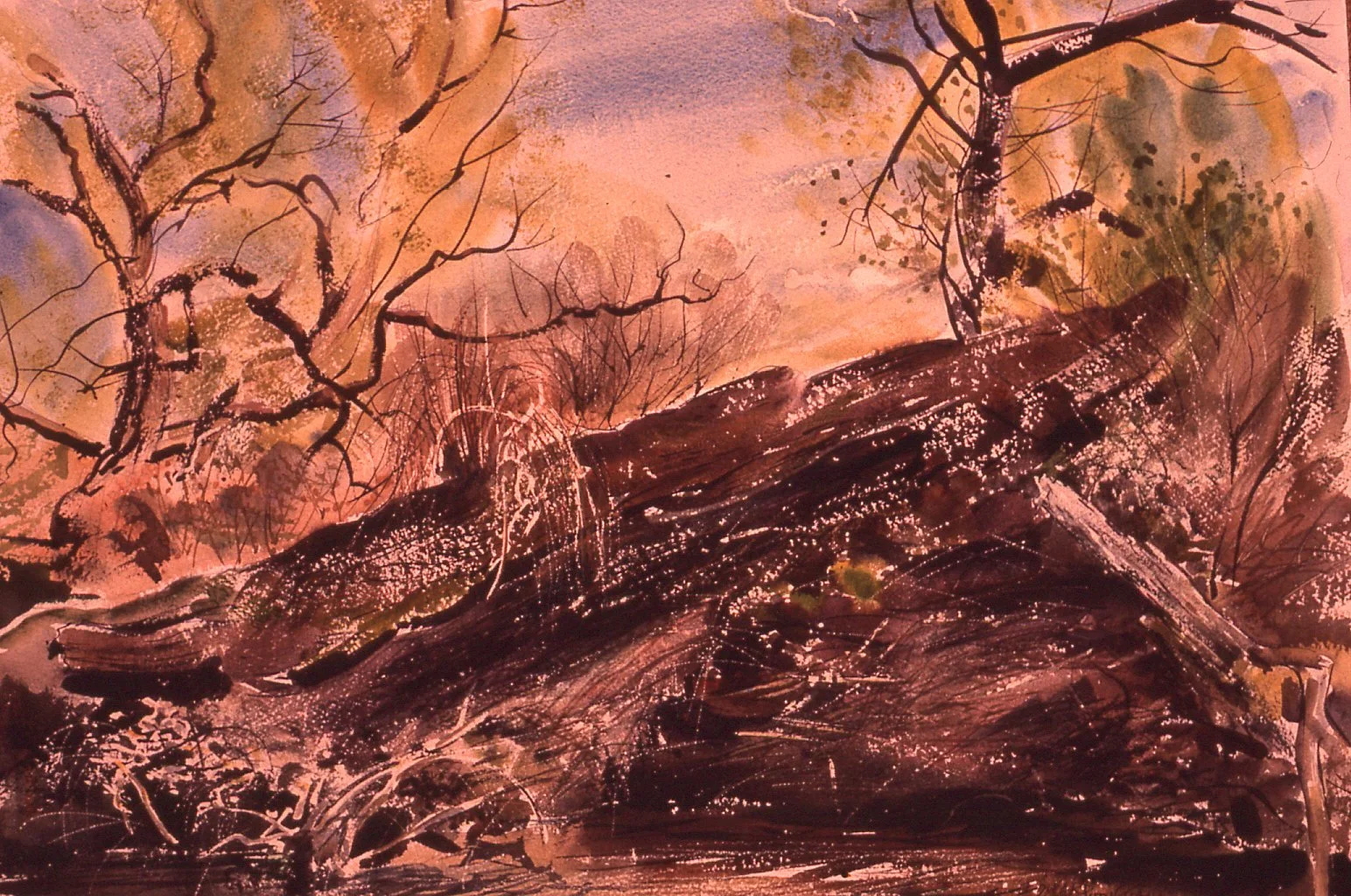 On_Beaver_Creek,Holland_Patent,18x24,date_unknown.jpg