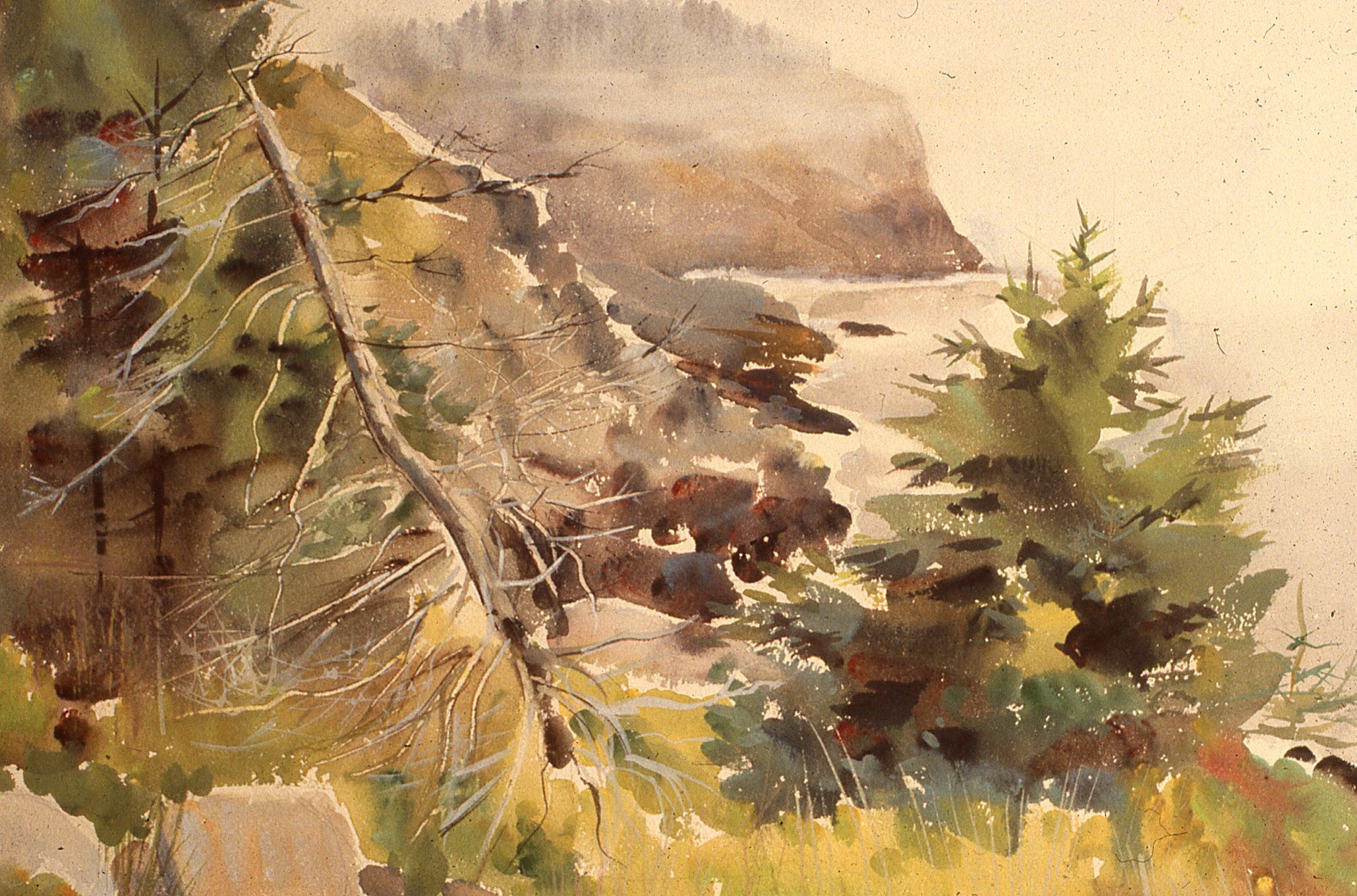 White_Head_Morning_Fog,17.5x23.5,1985.jpg