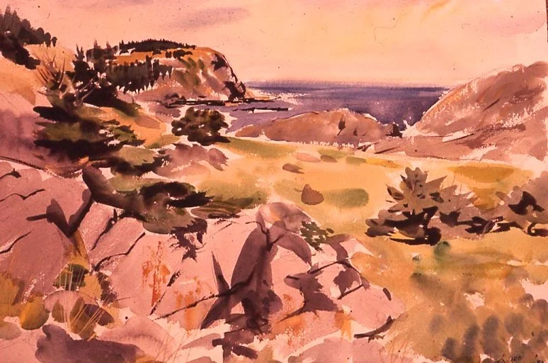 White_Head_from_Gull_Rock,18x24,1980.jpg