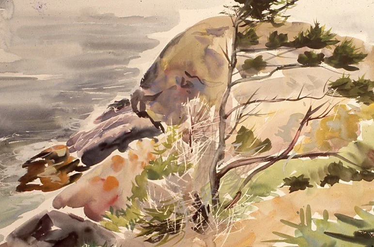 Spruce_Study_With_Gull_Rock,17.5x23.5,1988.jpg