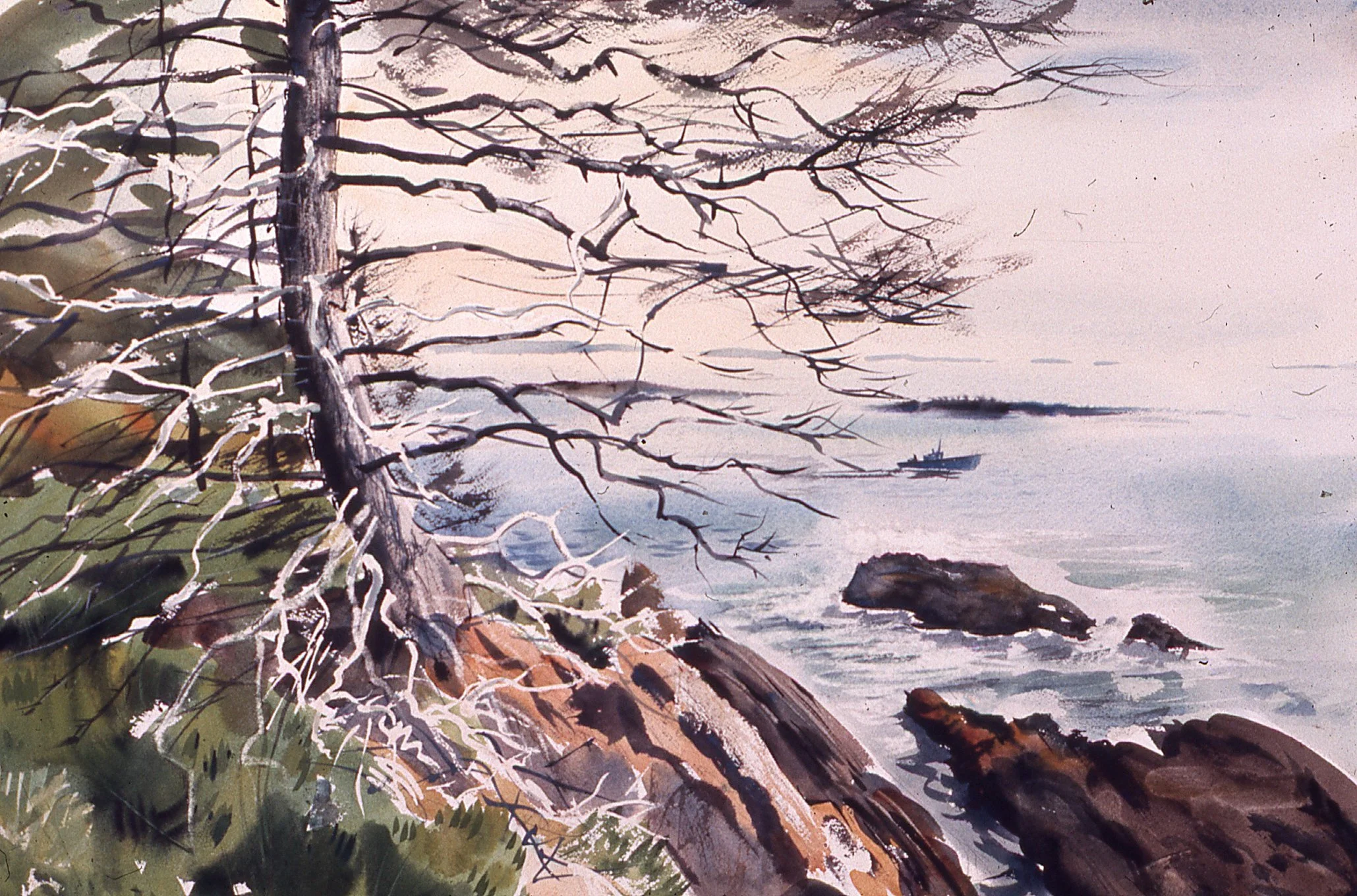 Weathered_Sprice,Hart's_Neck,1974,Sold,Institute_Sales,buyer_unknown.jpg