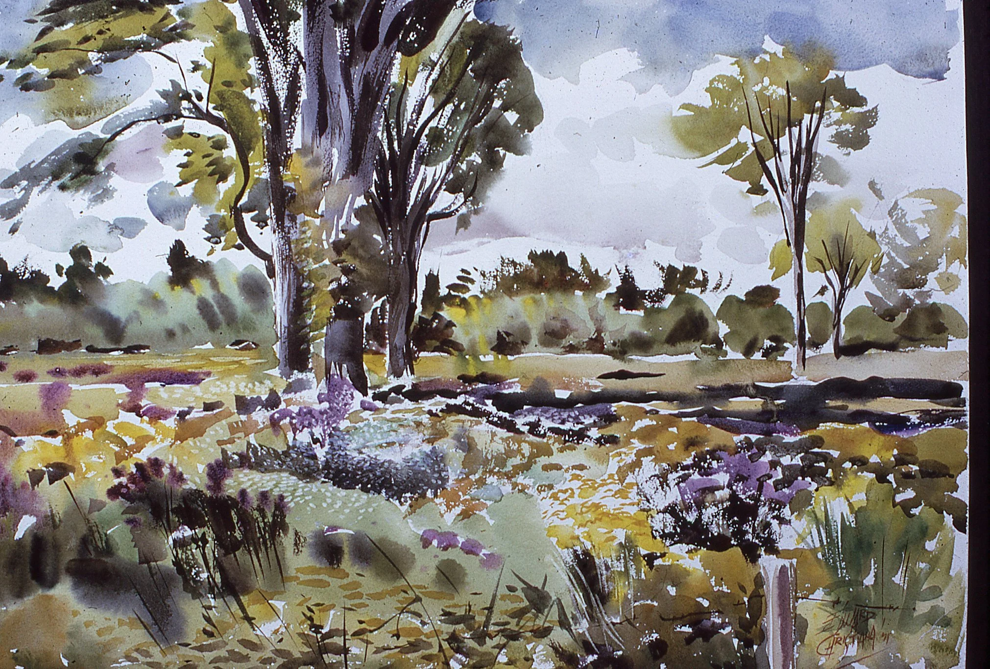 Fields,Early_October,18x24,1971.jpg