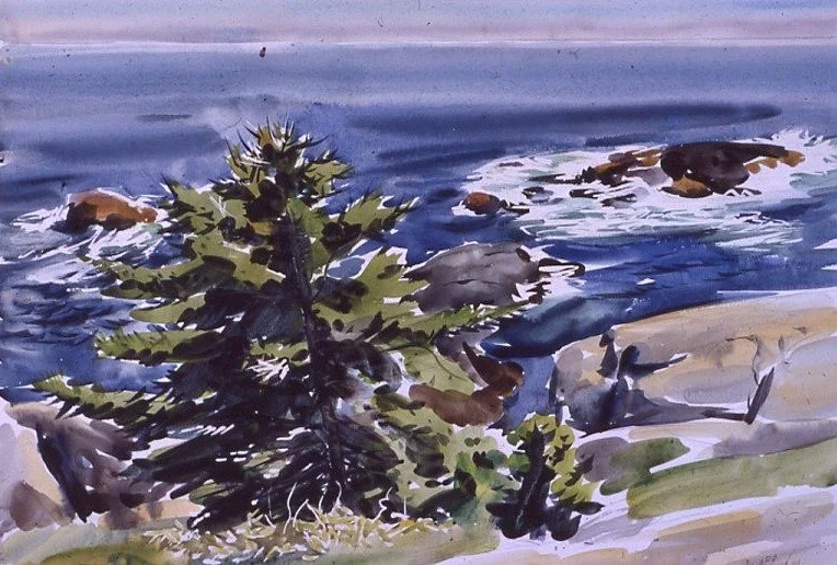 Dark_Spruce_Against_Sea_Light,17.5x23.5,1981.jpg