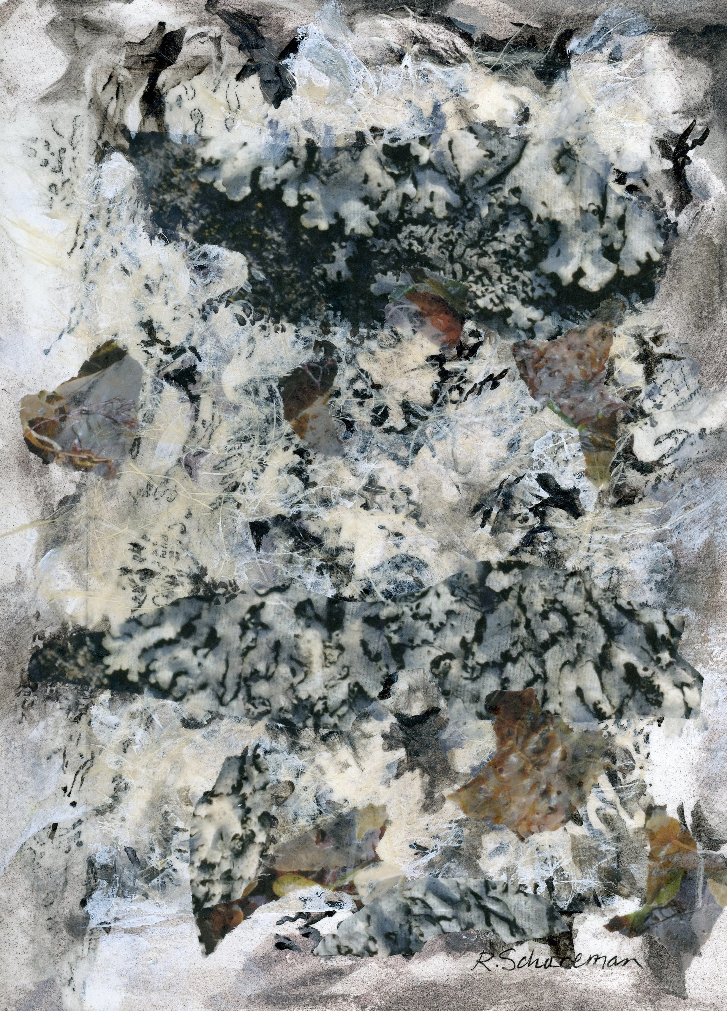 20130913-20130913-in the woods.jpg