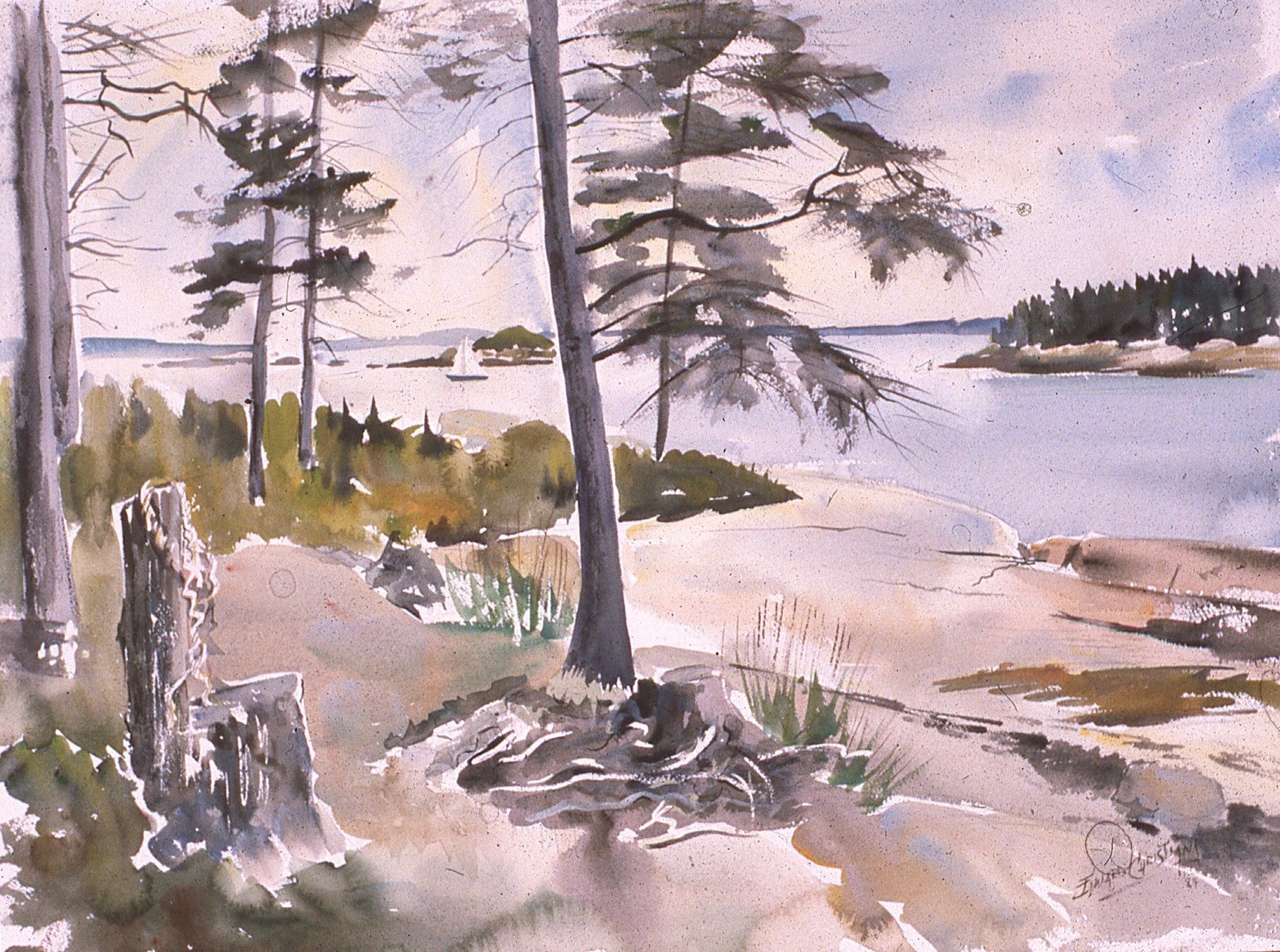 Shore_and_Spruces,Stonington,17.5x23.5,1984.jpg
