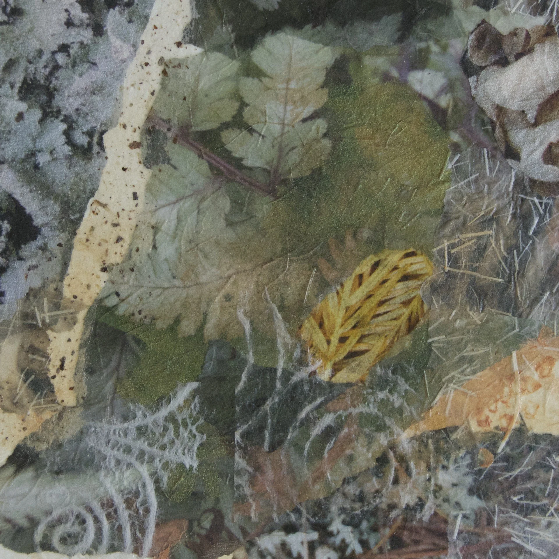 DSC_1118 - Version 2.jpg