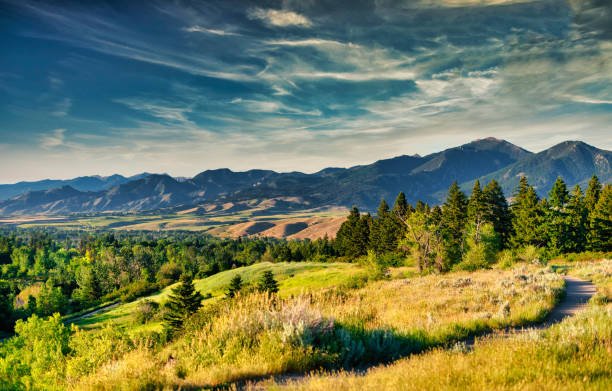 Scenic landscape with rolling green hills, dense forests, and distant mountains under a partly cloudy sky.