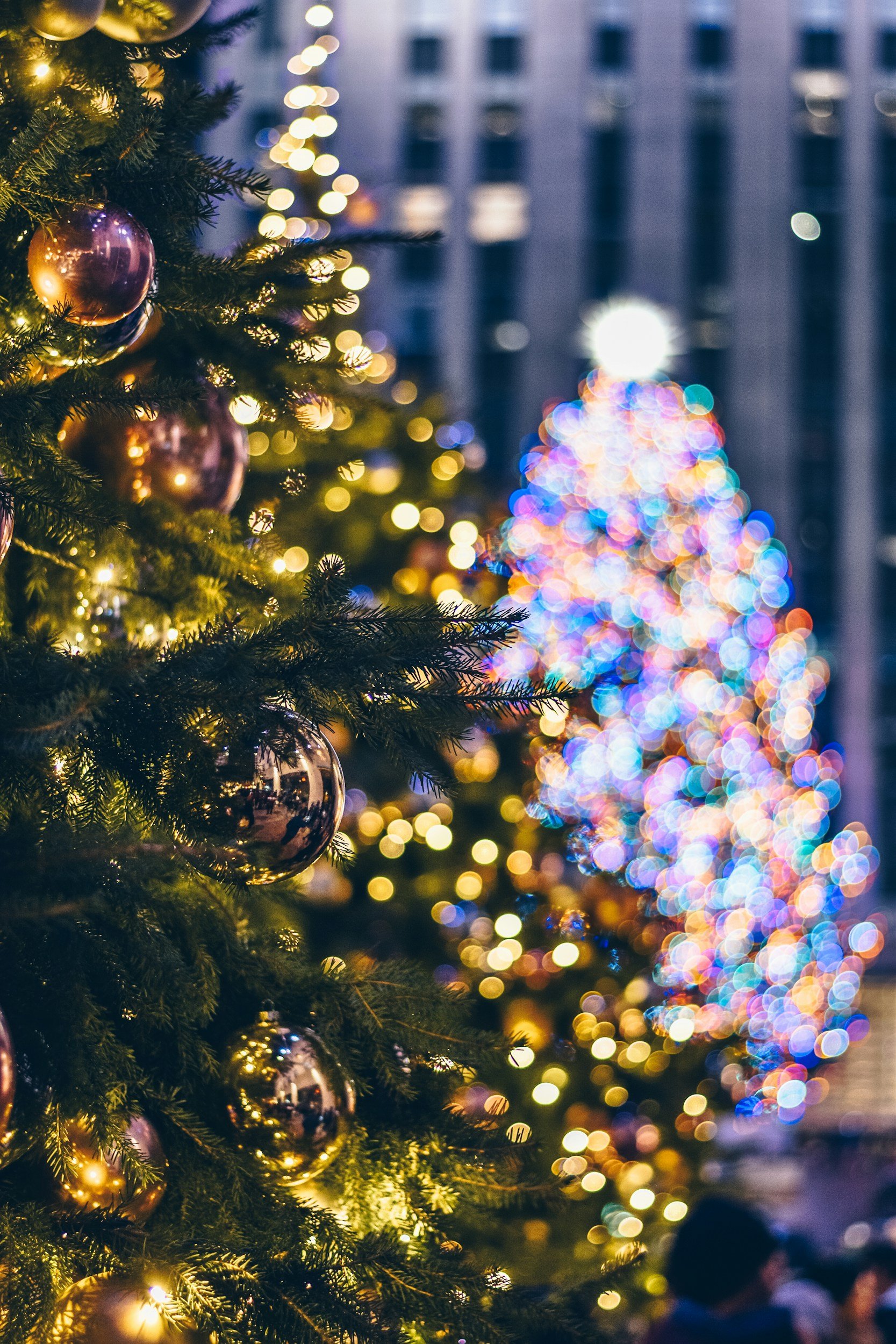 PRIVATE CHRISTMAS PARTY