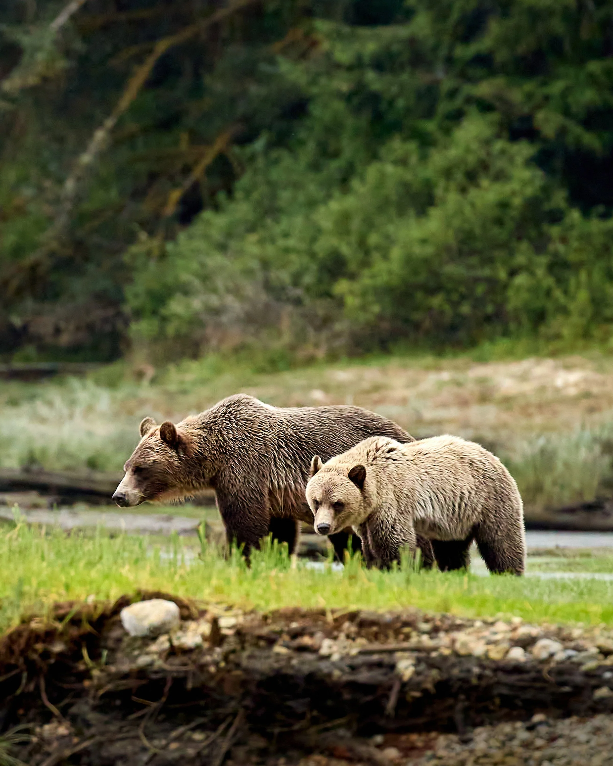 October 2025: Strengthening BC’s Wilderness Tourism Voice