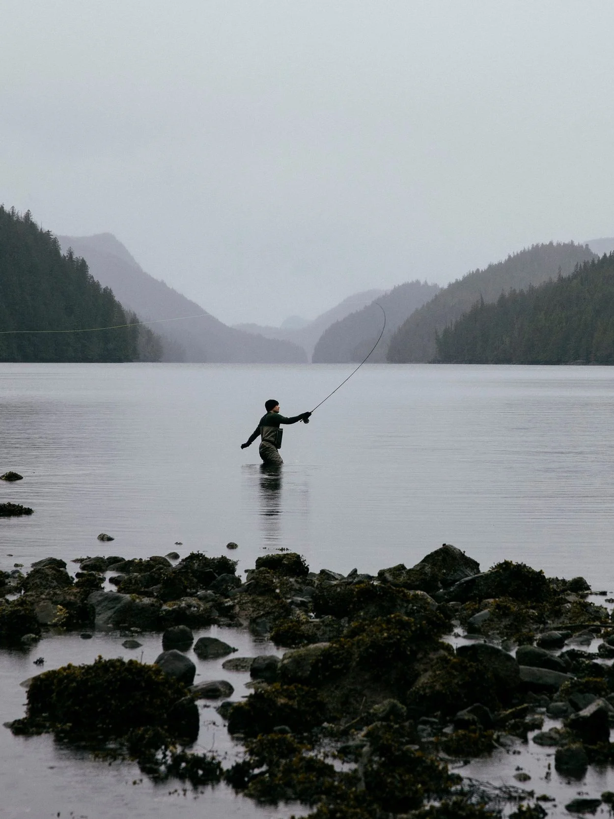 NEW Membership details