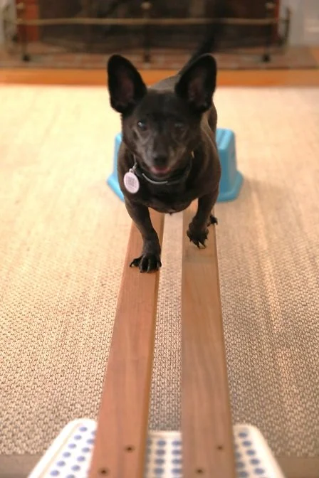 Perry split rails downsized.jpg