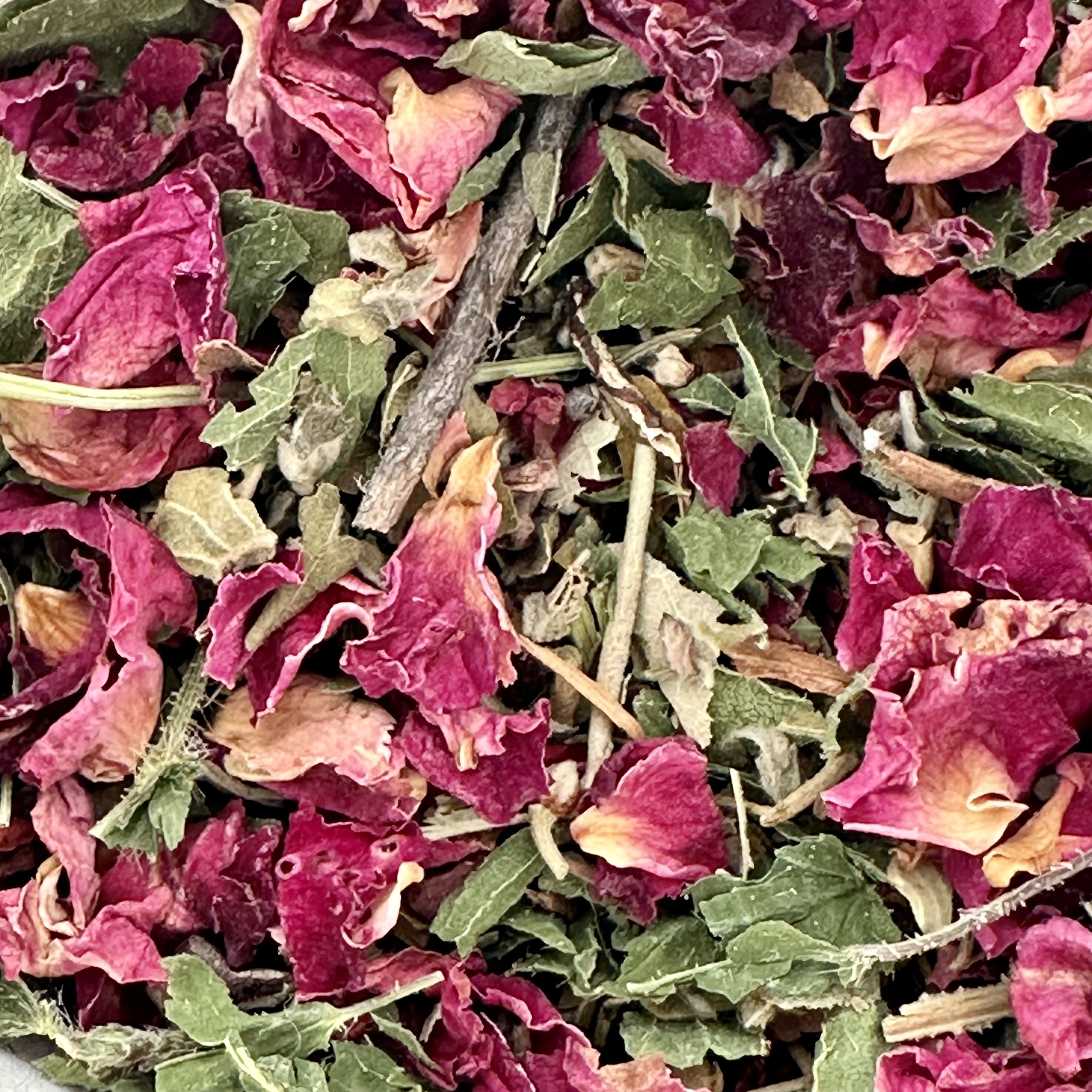 IMG_4512.jpeg