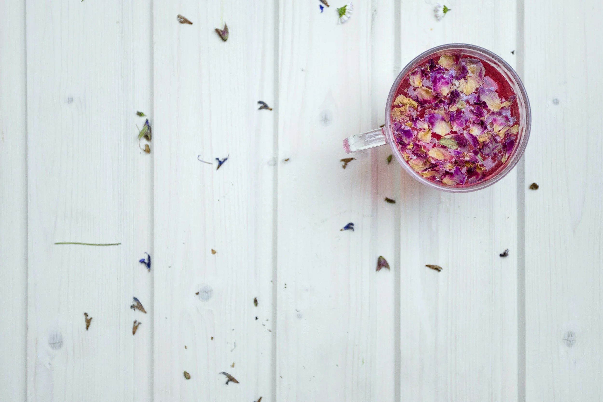 Elixir Mixer: An Herbaceous Collaboration Event